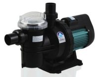 Thiết bị bể bơi