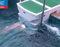 máy lọc nước bể bơi thông minh